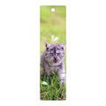 3D Bookmark - Grey Kitten